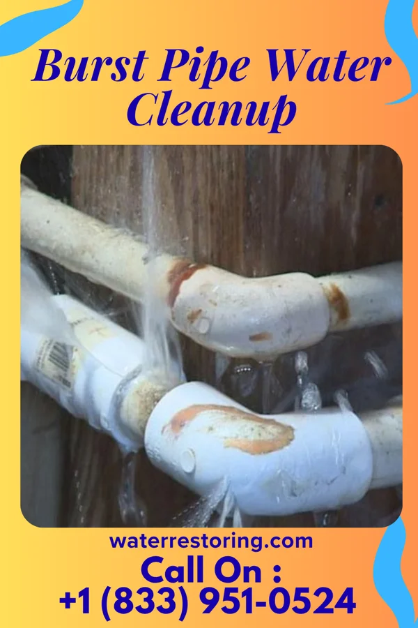 Burst Pipe Water Cleanup in Victoria, MN