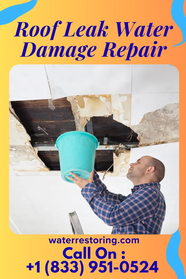 Roof Leak Water Damage Repair in Victoria, MN