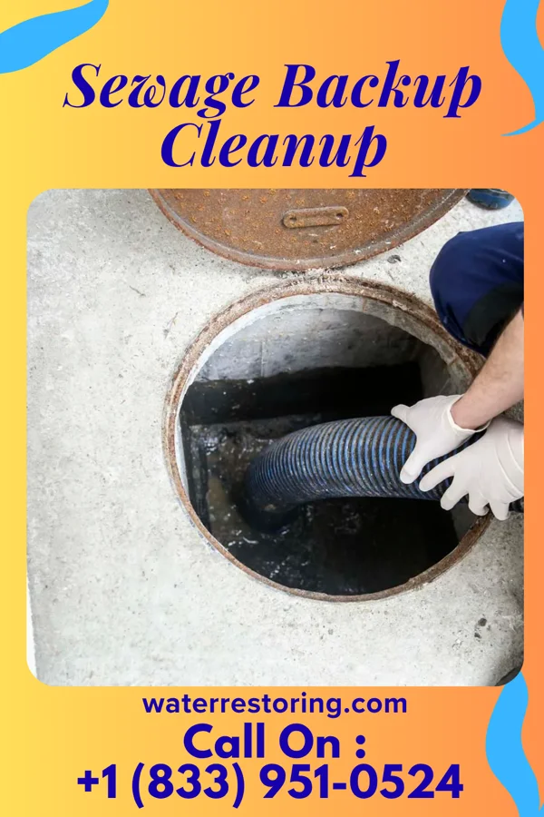 Sewage Backup Cleanup in Victoria, MN