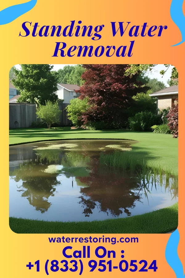Standing Water Removal in Victoria, MN